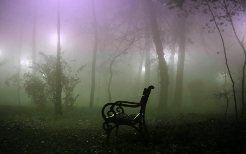 3d and abstract, trees, 1080P, evening, armed, mist, sit, misty, place, damask, black, bench