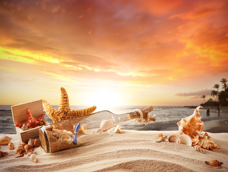 idyllic, seashell, domestic animals, summer, copy Space, tranquil Scene, journey, beauty In Nature, brown, bottle, dog, wave, sand, land, one animal, seascape