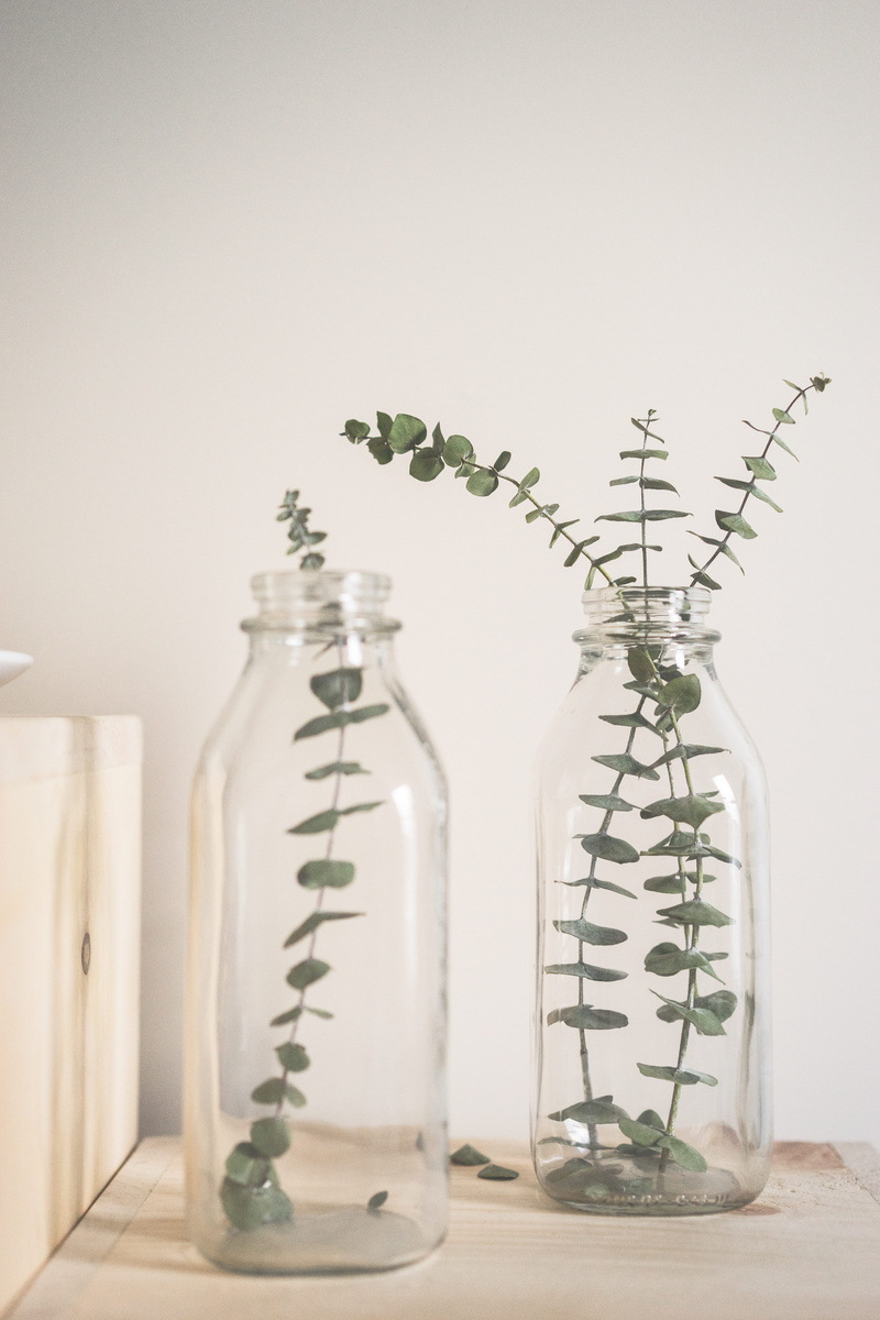 simple, still life, bottle, no people, table, leaf, vase, glass bottle, wood, white background, depth of field, potted plant, growth, herb, transparent