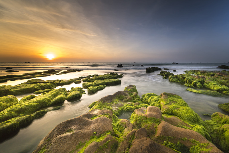 shore, water, 5K, peace, rock, sand, tranquility, outdoors, the waves, province, the beach, reflect, moss, tranquil scene, green, sea, horizon over water