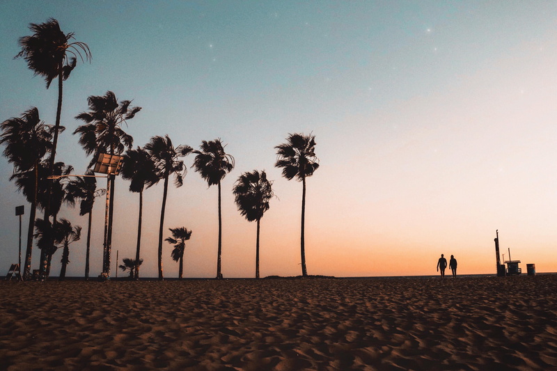palm tree, land, silhouette, tranquil scene, nature, group of people, hd, landscape, tranquility, love, venice beach, 4K, real people
