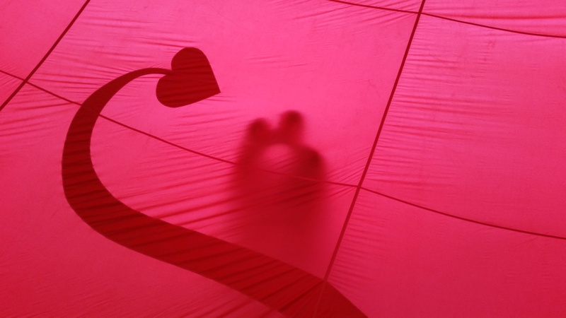 pink, high angle view, human hand, unrecognizable person, people, 5K, flooring, real people, focus on shadow, lifestyles, romantic, two people, cute