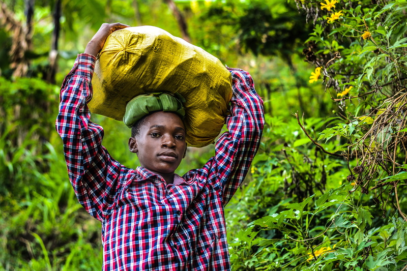 carry, working, land, portrait, men, person, man, wearing, young adult, one person, shirt, nature, wear, boy, adult, 5K, plaid, agriculture, real people