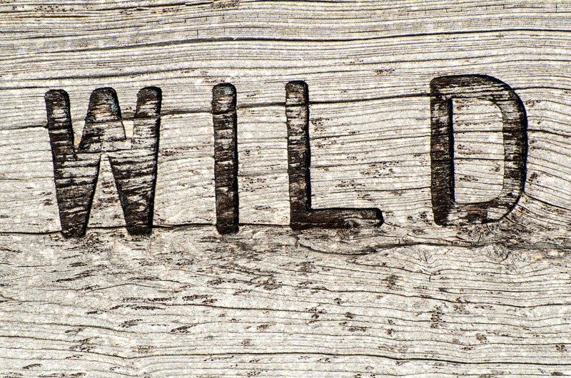 western script, indoors, capital letter, old, wood, nature, embossed, wooden, sign, wild, symbol, board, backgrounds, decor, textured effect, wooden sign
