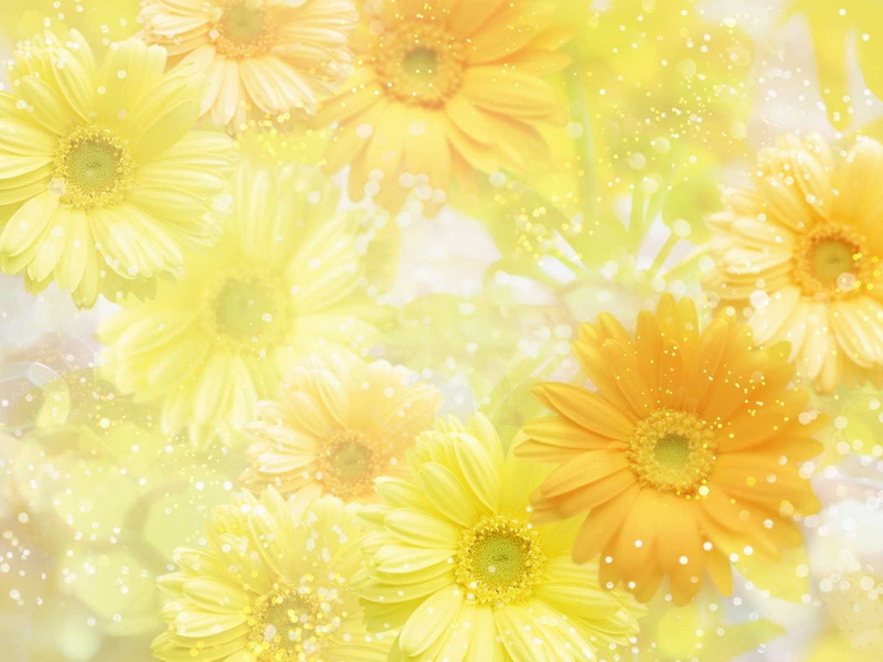 abstract, flower, white, beauty in nature, yellow flowers, bright, yellow, daisies, nature, fragility, brightly lit, springtime, inflorescence, plant, textile