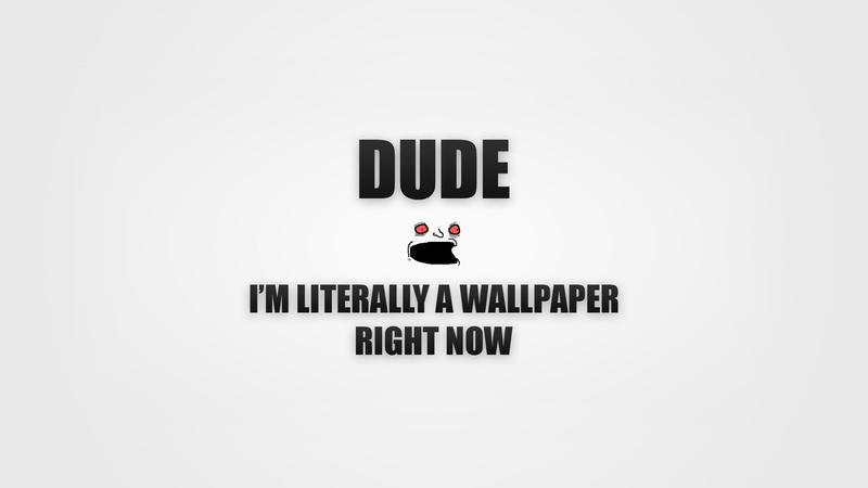 funny  with quote, funny quote, fun, Funny, 1080P, very funny quote, 1920x1080