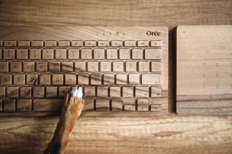 wooden, wooden keyboard, computer equipment, letter, no people, close-up, pet, animal themes, dog, directly above, funny, Dogs, 4K, keyboard, silver colored