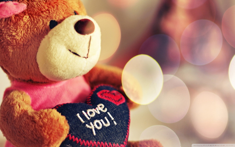 bear, love, 1080P, teddy