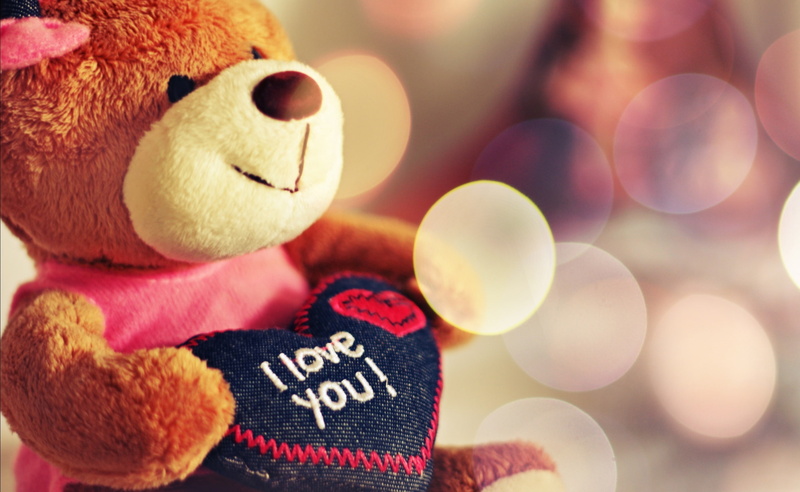 emotion, 2K, teddy, holiday, still life, teddy bear, western script, creativity, art and craft, representation, day, softness, plush, toy, bear, close-up