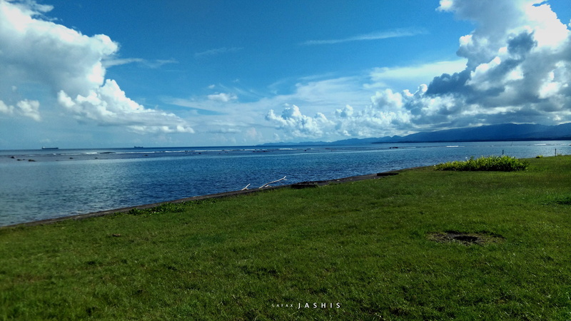4K, plants, landscape, Latin, Panama, natural light