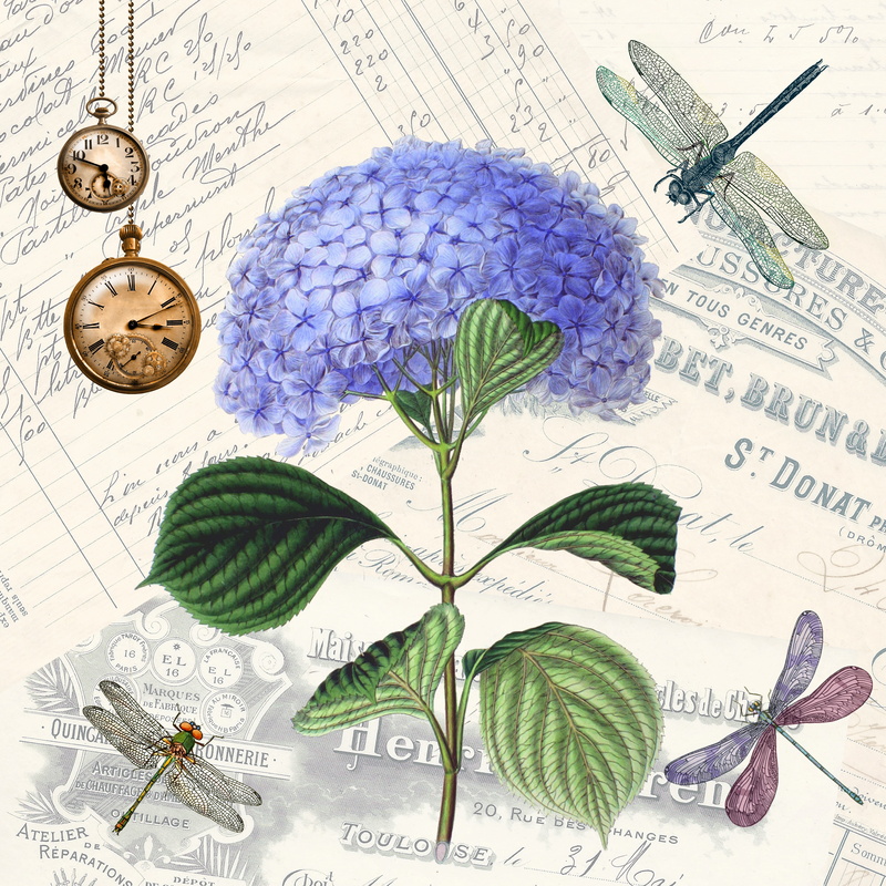 nature, bloom, flower head, plant, inflorescence, dragonflies, decorative, blue, vulnerability, nostalgia, close-up, herb, paper, fragility, indoors, hydrangea