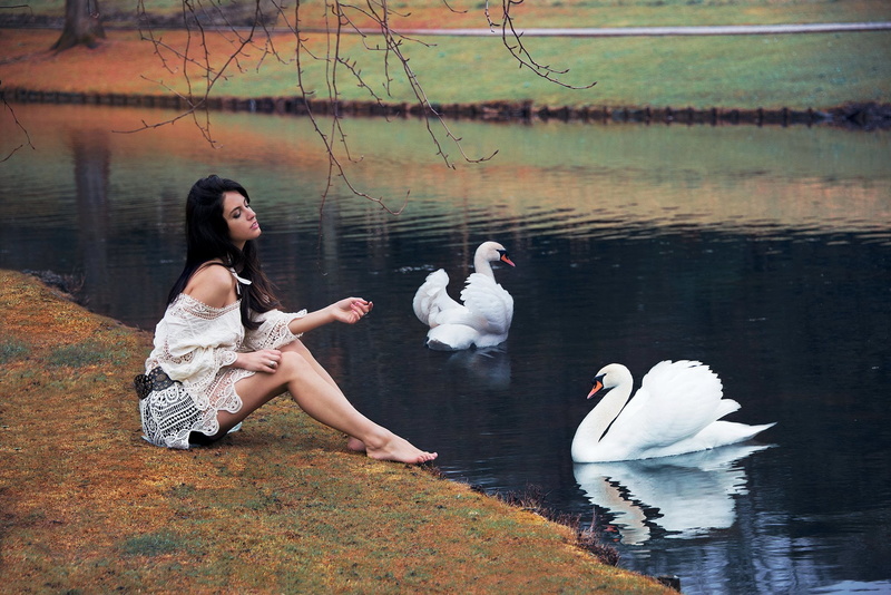 Park, two, young adult, animals in the wild, swans, water bird, reflection, nature, poultry, lake, swan, full length, brunette, floating on water, duck