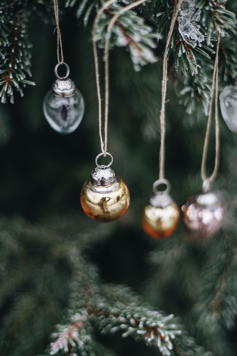 outdoors, ornaments, tree, hanging, no people, day, christmas ornament, focus on foreground, silver colored, plant, christmas, xmas, chic, decor, holiday