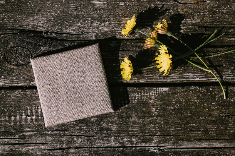 close-up, wood - Material, mockup, indoors, copy space, leaf, open space, 4K, day, plank, flower, wooden, pencils, flowers, things, no people, directly above