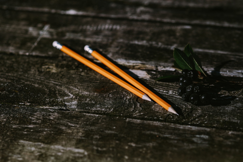 flowers, focus on foreground, nature, wood, selective focus, canvas, pencil, Small, things, writing instrument, day, orange color, wooden, open space, copy space