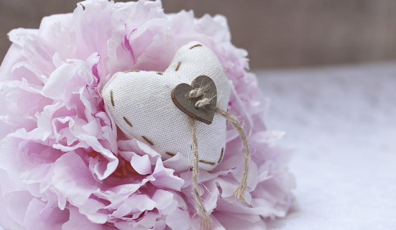 map, flower head, beige, heart, softness, white, flower, celebration, flowering plant, tender, freshness, pillow, blossom, event, linen heart, bloom, nature