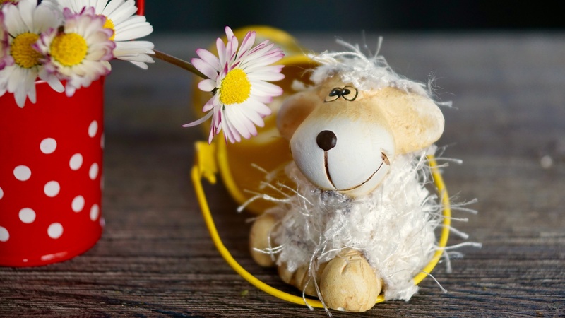 no people, spring, focus on foreground, art and craft, springtime, animal representation, pleasure, 5K, white, decoration, close-up, close, flowers, mood