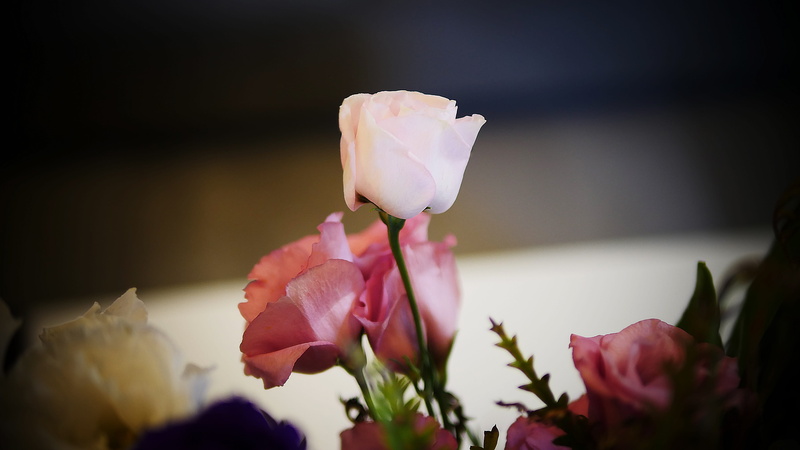 bouquet, leaf, surprise, bloom, celebration, no people, love, red, blossom, close-up, texture, garden, plant, rose, valentine, petal, pink color, selective focus