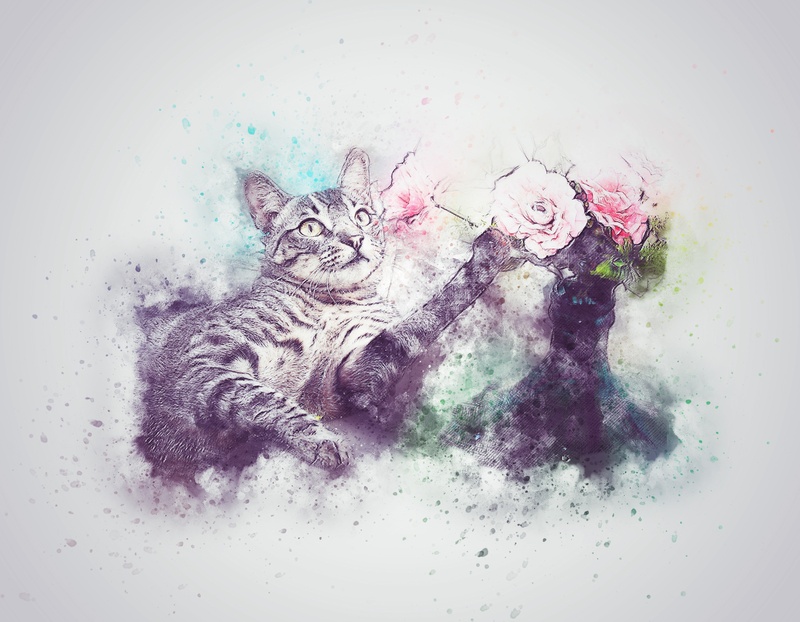 emotion, art, flower, vertebrate, assorted, scrapbooking, domestic, decoration, animal, vintage, nature, tabby, cute, design, abstract, animal themes, painting