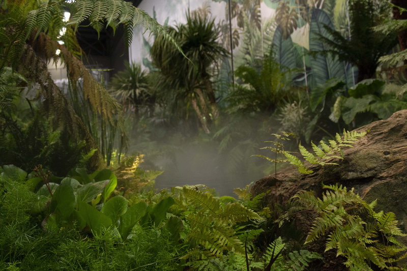 rainforest, leaf, weather, vase, tropical climate, palm tree, nantes, outdoors, jar, potted plant, pottery, bush, 4K, land, beauty in nature, nature, no people
