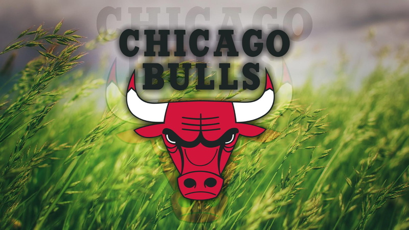 nba, grass, 1080P, logo, chicago bulls, bulls, basketball, chicago