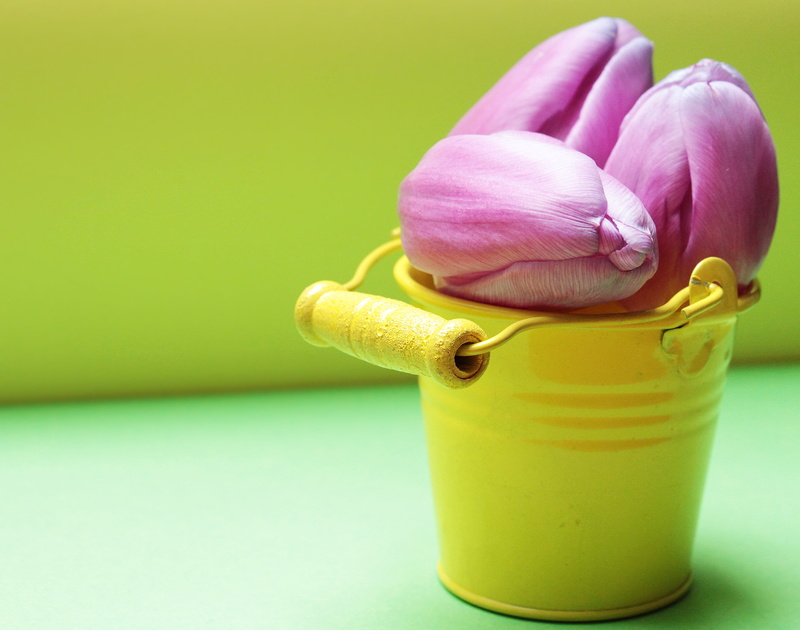table, floral greeting, bucket, vibrant color, studio shot, decoration, container, thank you, 2K, greeting card, no people, early bloomer, spring, flowers