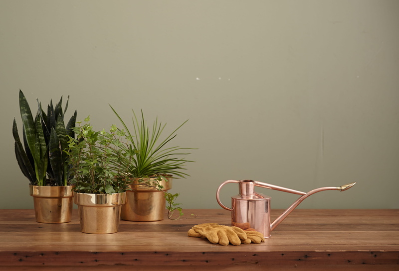 close-up, leaf, Polished, day, tree, indoors, plant pot, Planter, vase, watering can, can, garden, gardening gloves, water, Brass, herb, home Interior