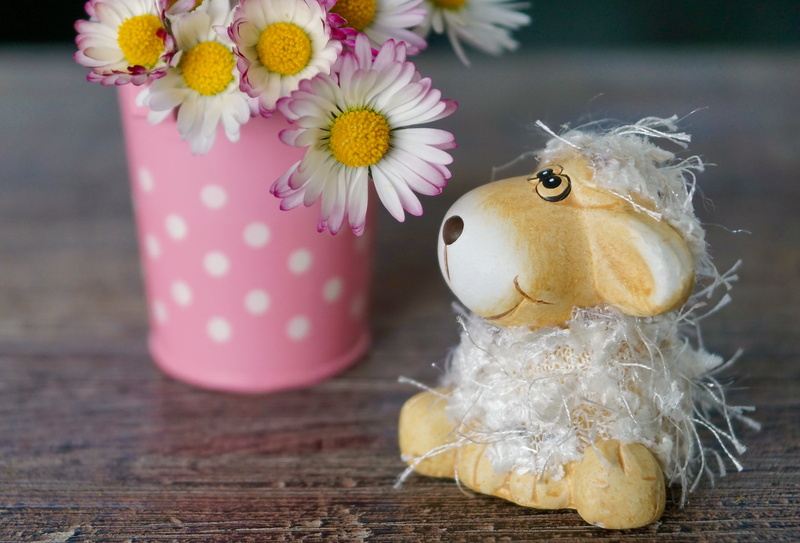 sheep, flowering plant, plant, container, white, romance, sweet, decorative, happy birthday, flower, optimism, feelings, easter egg, decoration, thank you card