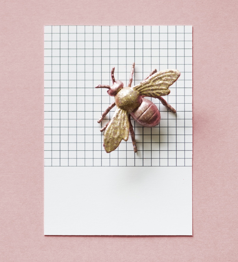 animal themes, indoors, mini, textured, pattern, concept, 2K, colorful, animal, colored background, fly, shape, creative, fun, tiny, bug, animal representation