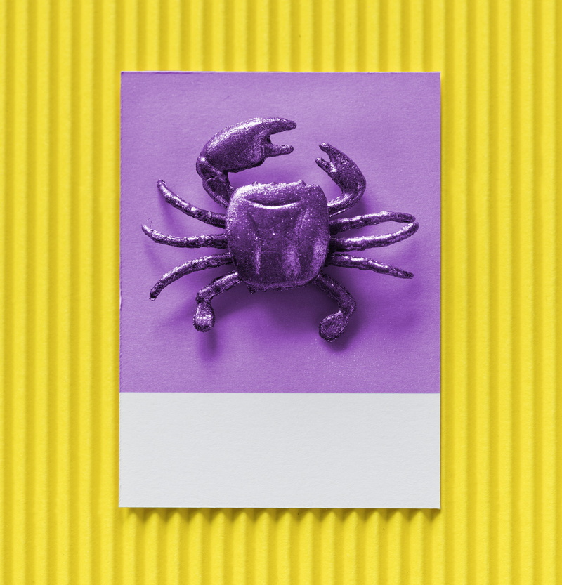 close-up, purple, fun, indoors, striped, creative, food and drink, toy, healthy eating, model, table, little, textured, 2K, mini, figure, play, crab, seafood