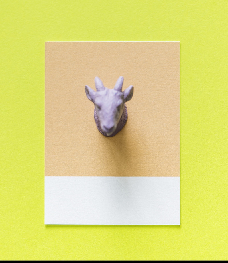 mammal, one animal, goat, figure, creative, small, cardboard, colorful, animal representation, concept, animal head, 2K, fun, shape, card, yellow, symbol