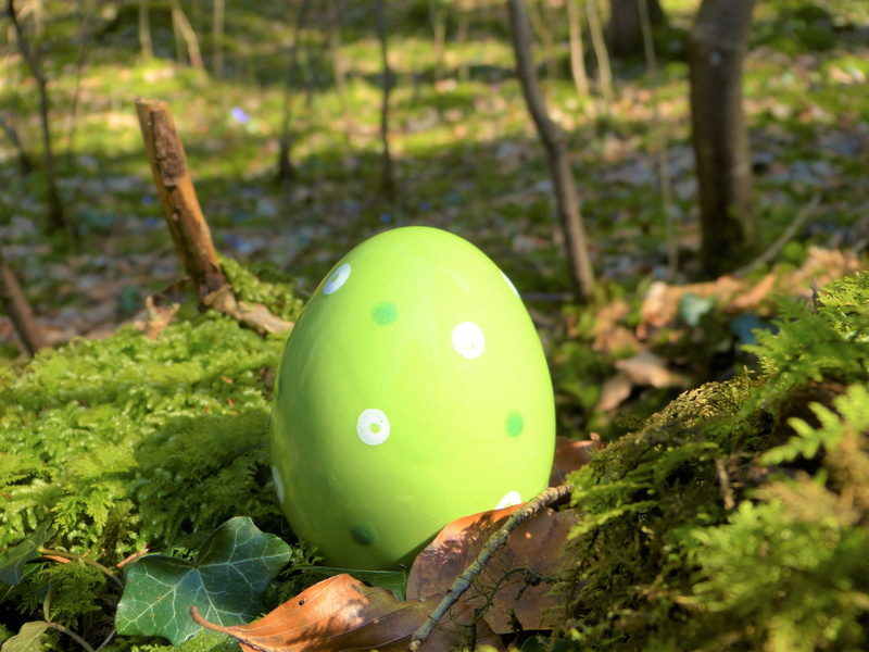 healthy eating, nature, land, decoration, easter greeting, close-up, food, plant, no people, green color, hide, spring, growth, day, egg, ceramic, happy easter