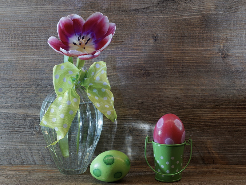 plant, text dom, green color, decoration, 5K, vase, spring flowers, freshness, easter decorations, mood, still life, nature, pink color, easter greetings