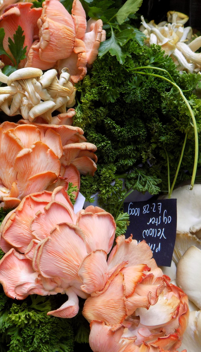 wellbeing, vegetable, no people, choice, large group of objects, 4K, retail display, freshness, for sale, food, raw food, mushrooms, price tag, market stall