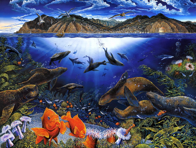 playground, underwater, ocean, fish, offshore, painting, lyn, 1080P, animals, nelson, robert lyn nelson, robert, avalons