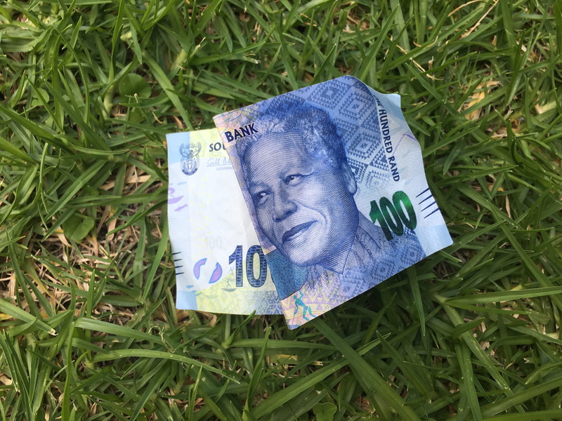 plant, field, still life, nelson mandela, male likeness, currency, growth, grass, wealth, paper currency, close-up, note, bill, land, number, green color