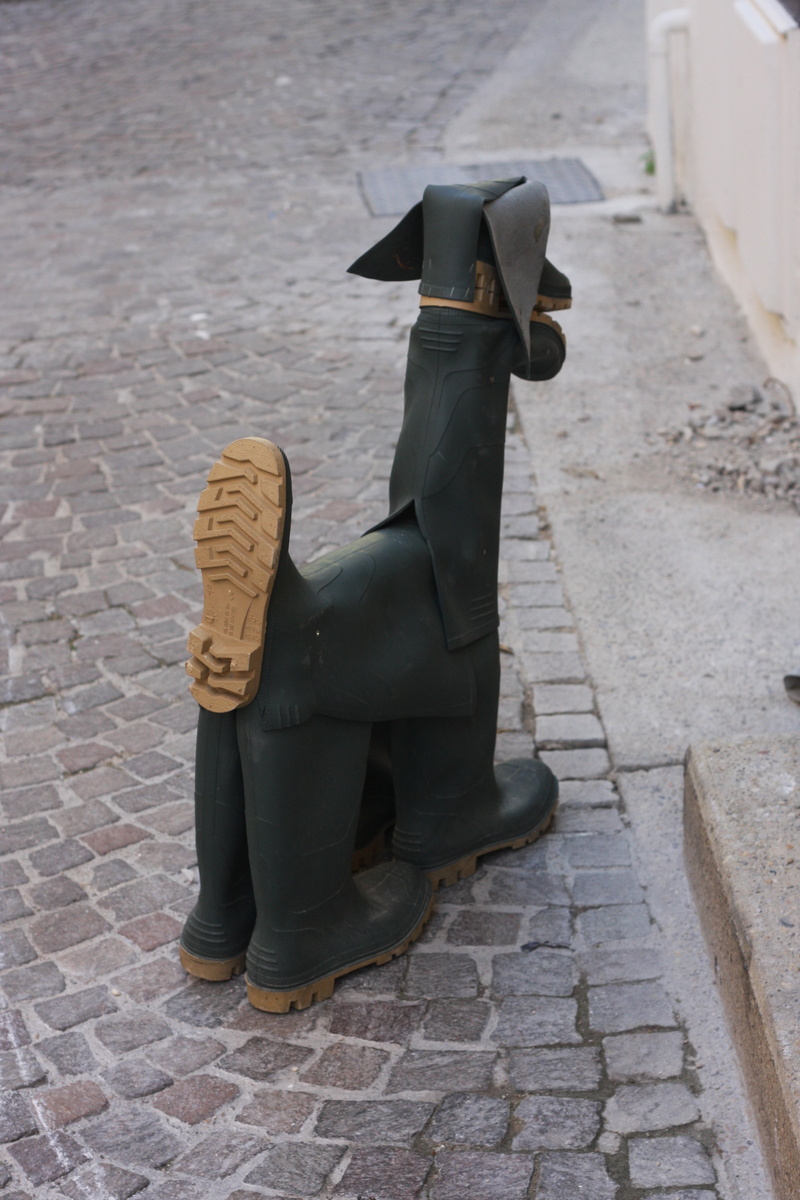 interesting, gum boots, quirky, focus on foreground, no people, sidewalk, dog, footpath, funky, architecture, unique, animal, domestic animals, nature