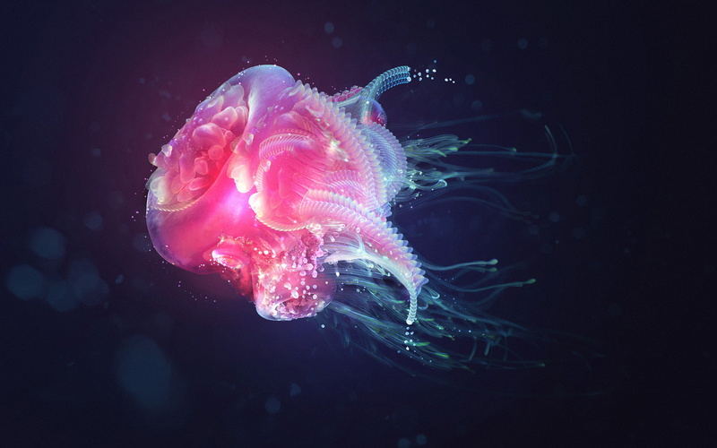 bubbles, depth, 1080P, tentacles, quirkiness