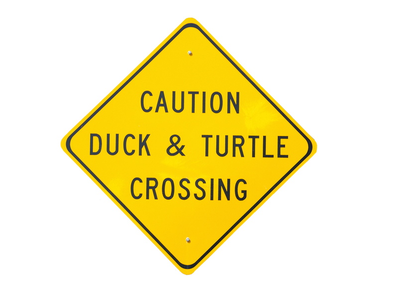 alert, single object, emotion, vehicle, metal, background, roadsign, text, duck, capital letter, icon, roadside, warning sign, isolated, communication