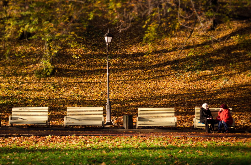 benches, day, lifestyles, full length, sitting, love, nature, couple - relationship, leaves, grass, two, 4K, people, real people, women, men, light, sunny