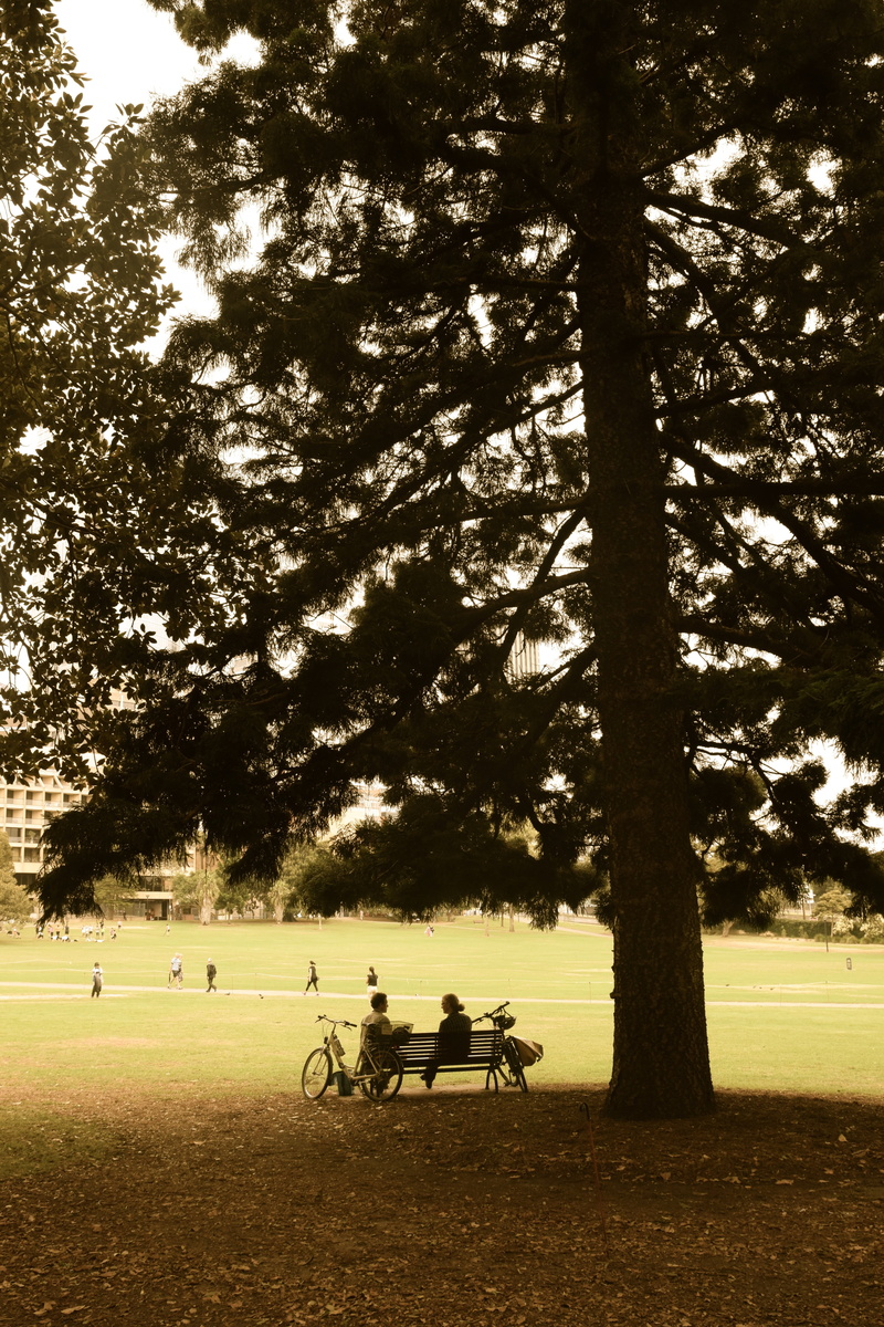 leisure activity, dialog, plant, grass, nature, real people, bicycle, 5K, park - man made space, outdoors, tree, field, friends, land, men, landscape