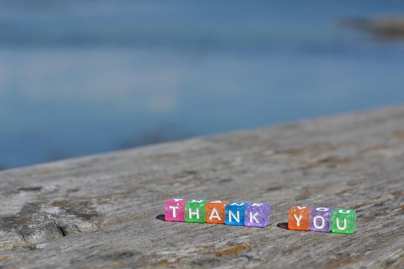 sea, sense, outdoors, capital letter, wood - material, gratitude, multi colored, background, nature, message, close-up, greeting cards, beach, land, postcard