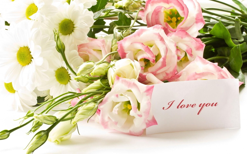 greeting Card, birthday, plant, gift, daisies, white, greeting, pink Color, flowers, 1080P, springtime, bouquet, love, message, romance, leaf, bunch, indoors