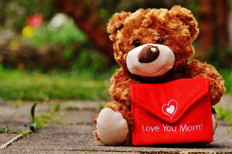 mother, thank you, brown, mammal, cute, luck, pavement, connectedness, red, animal themes, childhood, close-up, redhead, about love for mothers day, teddy