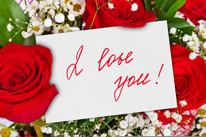 backgrounds, rose, lovely, romance, high angle view, red roses, western script, bunch of flowers, gift, flowers, valentines Day - Holiday, mothers Day