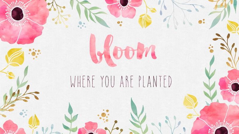 watercolor, pink, no people, :), multi colored, backgrounds, white, creativity, quote, card, message, word, pink color, love, celebration, letter, pattern