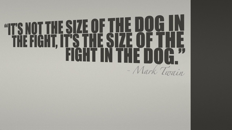 photography, animals, dogfight, animal, 1080P, quote, words, mark twain
