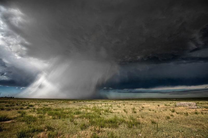 s, field, rain, steppe, Best s, 1080P, clouds