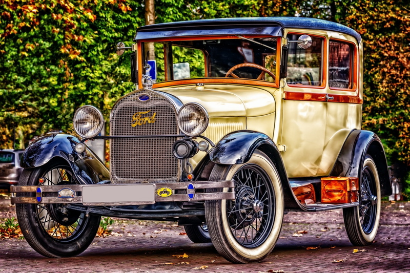 plant, nostalgia, mode of transportation, land vehicle, transportation, oldtimer, travel, motor vehicle, historically, stationary, old, nature, city, wheel