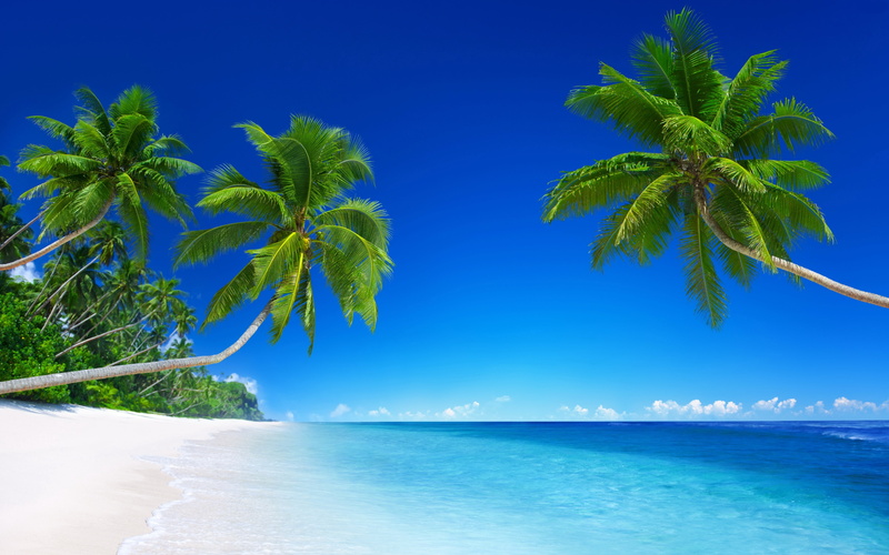 sky, blue, beach, scenics - nature, 5K, travel destinations, tahiti, idyllic, fond d ecran, trees, tropical tree, nature, horizon, beauty in nature, tranquility